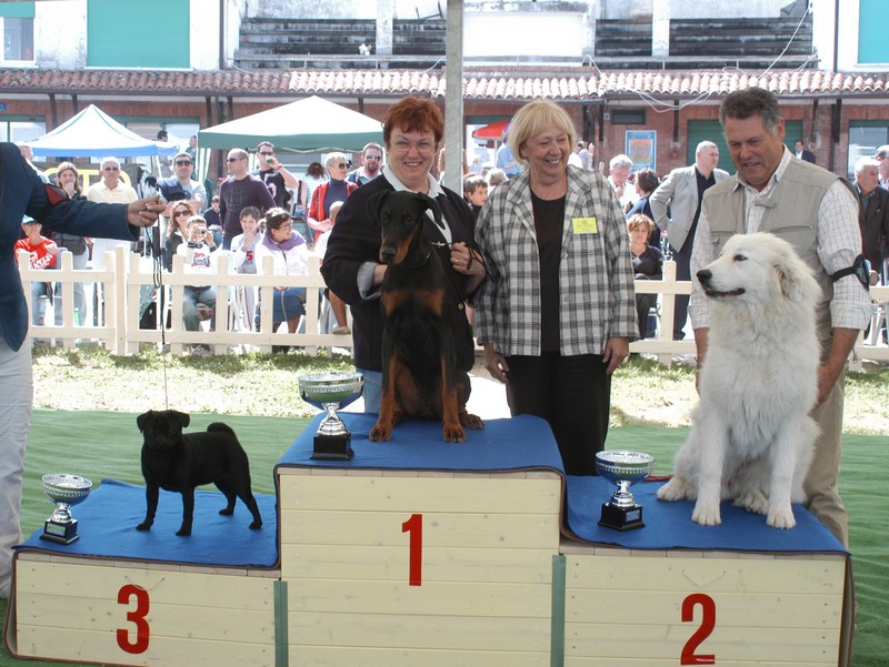 2° posto al Puppy contest Expò Internazionale di San Marino